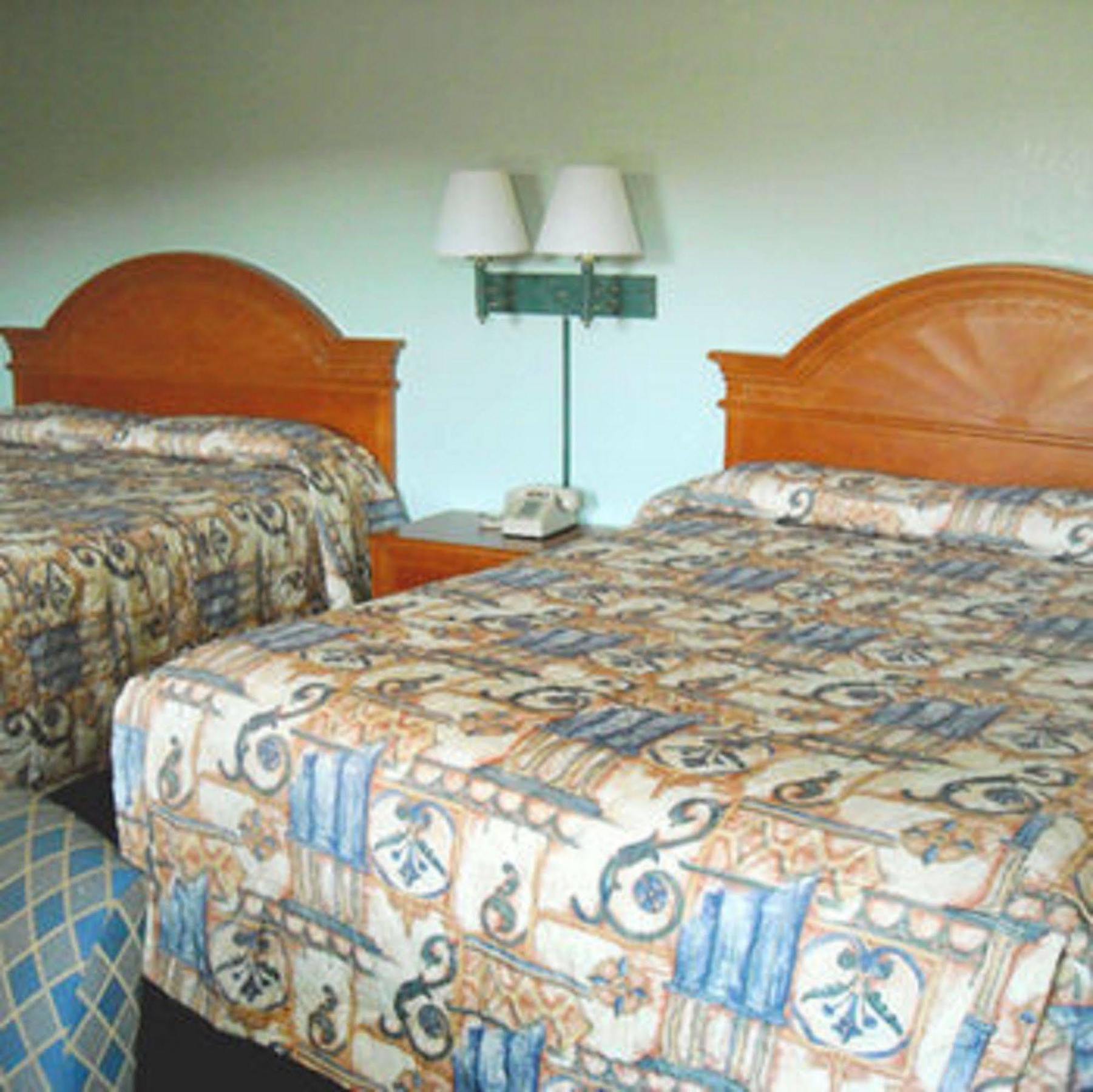 Whispering Pines Motel - אשוויל חדר תמונה